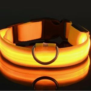 Glowing Dog Collars